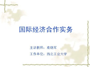 国际经济合作理论与实务视频教程 袁晓军 30讲 西北工业大学