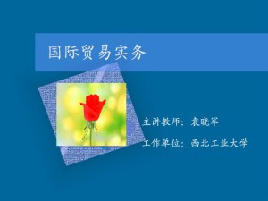 国际贸易实务视频教程 袁晓军 66讲 西北工业大学