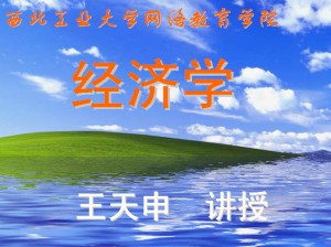 经济学视频教程 王天申 48讲 西北工业大学