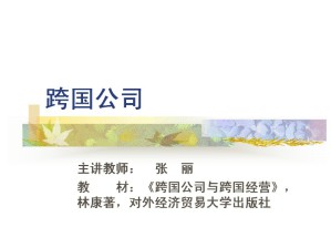 跨国公司视频教程 张丽 34讲 西北工业大学