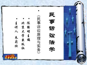 民事诉讼法学视频教程 朱莉欣 48讲 西北工业大学