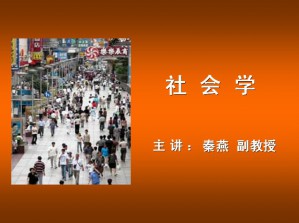 社会学概论视频教程 秦燕 36讲 西北工业大学
