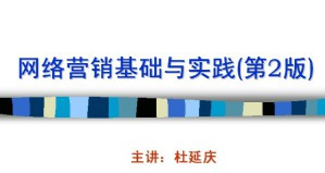 网络营销视频教程 杜延庆 30讲 西北工业大学