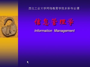 信息管理学视频教程 莫卫东 27讲 西北工业大学