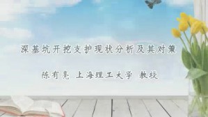 深基坑开挖支护现状分析及其对策视频教程 陈有亮 1讲 上海理工大学