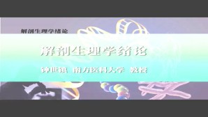 解剖生理学绪论视频教程 钟世镇 1讲 南方医科大学