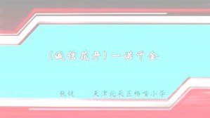 （诚信花开）一诺千金视频教程 张健 1讲 天津北辰区杨嘴小学