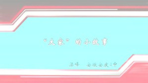 “大家”的小故事视频教程 梁峰 1讲 安徽安庆四中