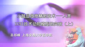 小鼠显微授精新技术-人类ICSI技术动物模型的突破视频教程 吕祁峰 2讲 上海交通大学