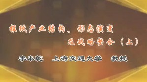 报纸产业结构 形态演变及战略整合视频教程 李本乾 2讲 上海交通大学