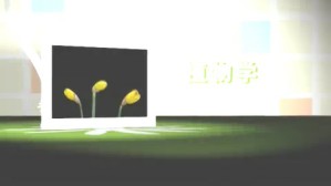 木兰科植物资源的保护与开发利用视频教程 曾庆文 2讲 中国科学院