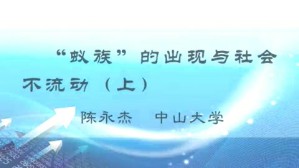 “蚁族”的出现与社会不流动视频教程 陈永杰 2讲 中山大学