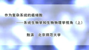 作为复杂系统的癌细胞-系统生物学和生物物理学视角视频教程 敖滨 2讲 北京师范大学