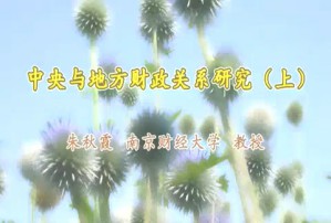 中央与地方财政关系研究视频教程 朱秋霞 2讲 南京财经大学