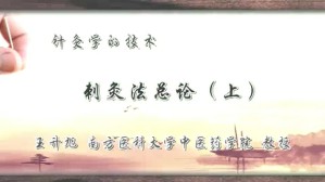 针灸学的技术视频教程 王升旭 2讲 南方医科大学