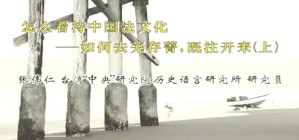 怎么看待中国法文化-如何去芜存菁 既往开来视频教程 张伟仁 2讲 台湾中央研究院