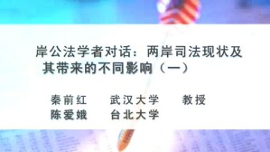 海峡两岸公法学者对话-两岸司法现状及其带来的不同影响视频教程 董保城 2讲 台湾政治大学