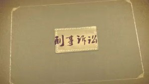 审判监督程序视频教程 周长军 2讲 山东大学