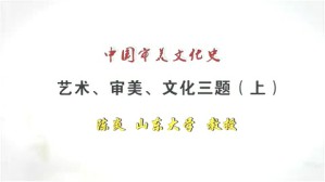 艺术 审美 文化三题视频教程 陈炎 2讲 山东大学