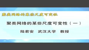 聚类网络的某些尺度可变性视频教程 陆君安 2讲 武汉大学