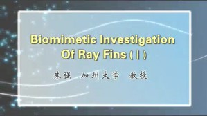 Biomimetic Investigation Of Ray Fins视频教程 朱强 2讲 美国加州大学