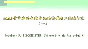 cAMP信号和兴奋收缩耦联的磷酸二酯酶控制视频教程 Rodolphe 3讲 Université de Paris-Sud XI