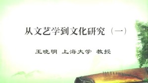从文艺学到文化研究视频教程 王晓明 3讲 上海大学