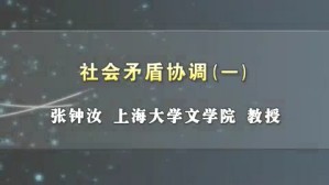 社会矛盾协调视频教程 张钟汝 3讲 上海大学