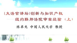 纽约联邦法院审案经验视频教程 陈卓光 3讲 中国人民大学