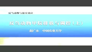 反刍动物与温室效应视频教程 赵广永 3讲 中国农业大学