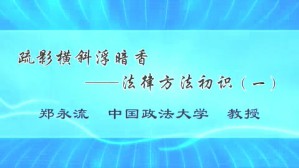 疏影横斜浮暗香-法律方法初识视频教程 郑永流 3讲 中国政法大学