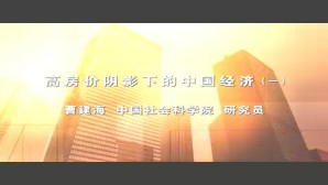 高房价阴影下的中国经济视频教程 曹建海 3讲 中国社会科学院