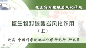 微生物对碳酸岩风化作用视频教程 连宾 3讲 中国科学院