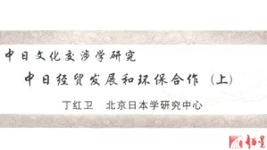 中日经贸发展与<em>环保</em>合作视频教程 丁红卫 3讲 北京外国语大学