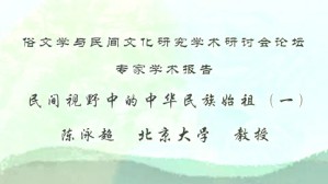 俗文学与民间文化研究学术研讨会论坛专家学术报告视频教程 陈泳超 3讲 北京大学