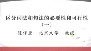 区分词法和句法的必要性和可行性视频教程 陈保亚 3讲 北京大学
