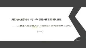 司法能动与中国婚姻家庭视频教程 强世功 3讲 北京大学