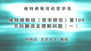维特根斯坦的哲学观视频教程 韩林合 3讲 北京大学