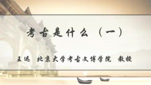 考古是什么视频教程 王迅 3讲 北京大学