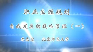 职业生涯规划--自我发展的战略管理视频教程 乔志宏 3讲 北京师范大学