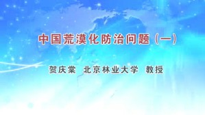 中国荒漠化防治问题视频教程 贺庆棠 3讲 北京林业大学