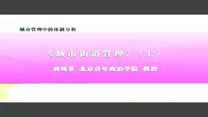 城市管理中的体制分析视频教程 刘绮菲 3讲 北京青年政治学院