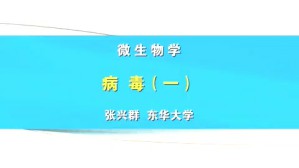 微生物学视频教程 张兴群 3讲 华东大学