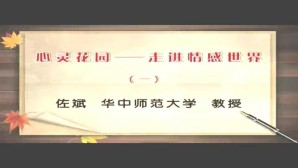 心灵花园-走进情感世界视频教程 佐斌 3讲 华中师范大学