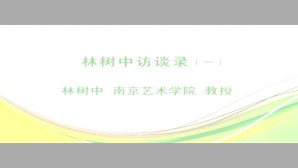 林树中访谈录视频教程 林树中 3讲 南京艺术学院
