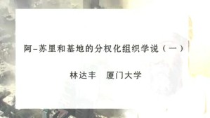阿-苏里和基地的分权化组织学说视频教程 林达丰 3讲 厦门大学