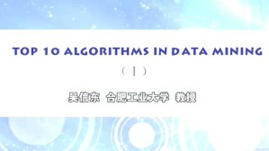 Algorithms in Data Mining视频教程 吴信东 3讲 合肥工业大学