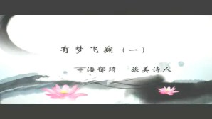 有梦飞翔视频教程 潘郁琦 3讲 山东大学