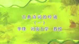 古典诗词的吟诵视频教程 华锋 3讲 河南大学