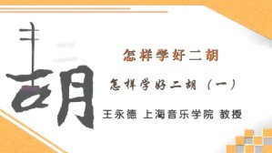 怎样学好二胡视频教程 王永德 4讲 上海音乐学院